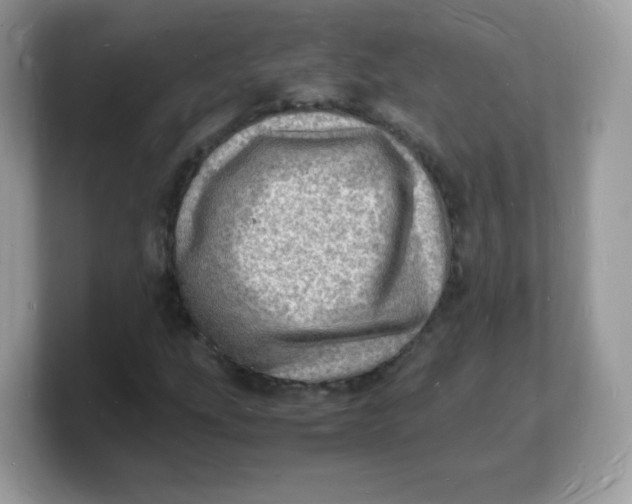 X0000103251207200809181557