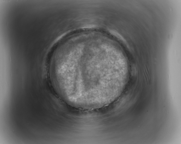 X0000103251208200809181557