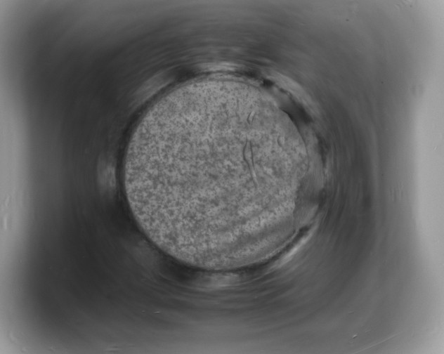X0000103251209200809181557