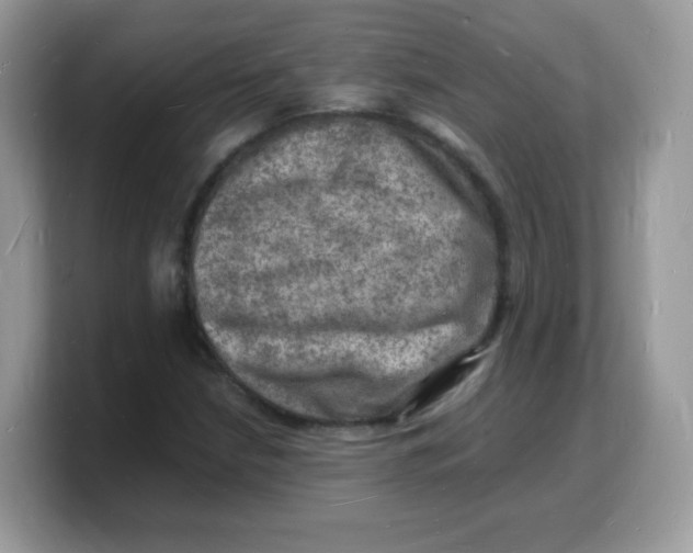 X0000103251210200809181557