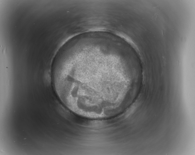X0000103251212200809181557