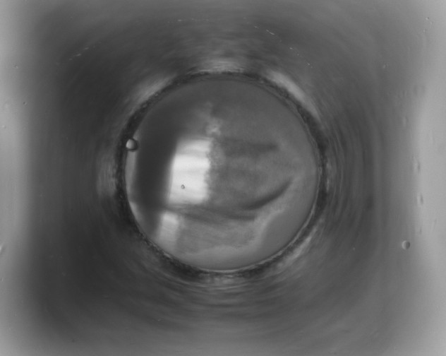 X0000103251213200809181557