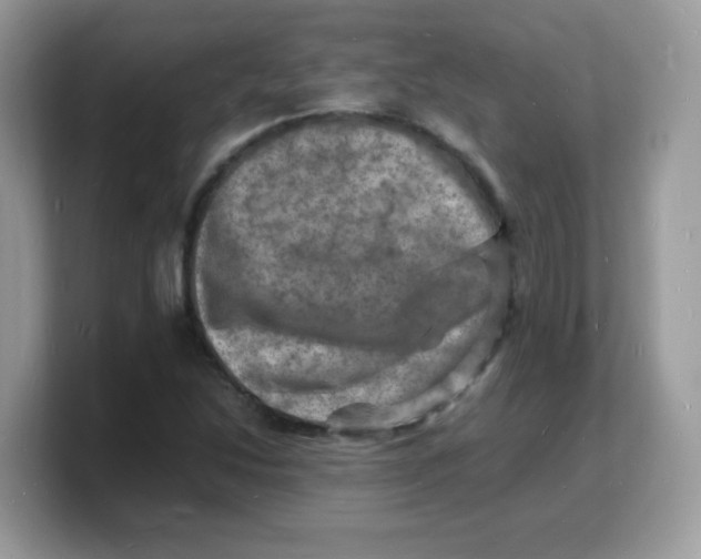X0000103251214200809181557