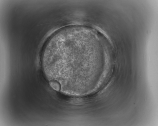 X0000103251215200809181557