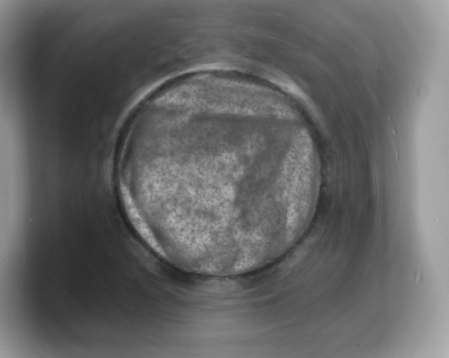 X0000103251216200809181557