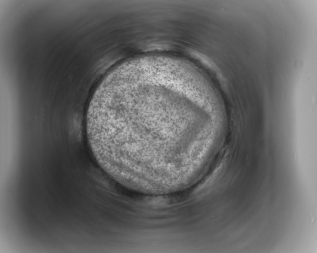 X0000103251217200809181557