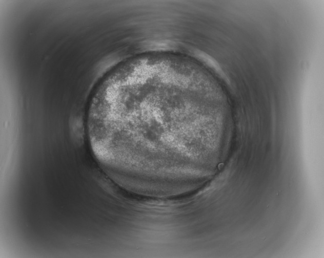 X0000103251218200809181557