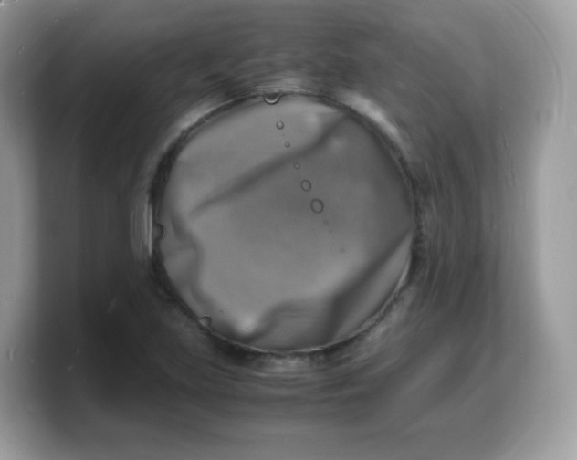 X0000103251219200809181557