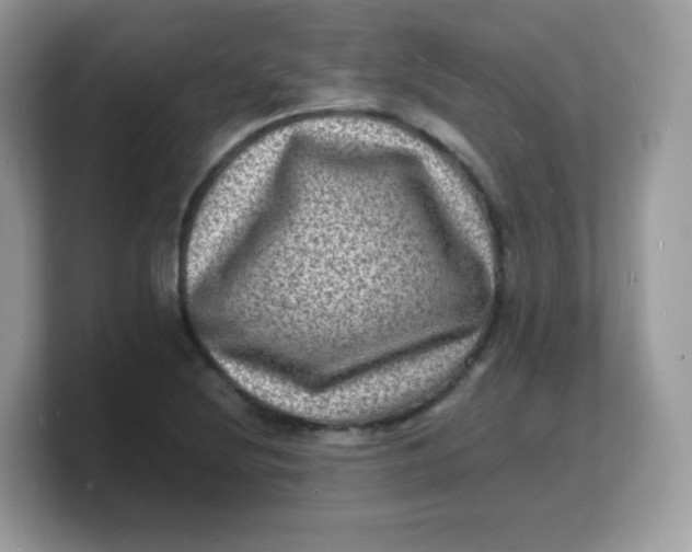 X0000103251220200809181557