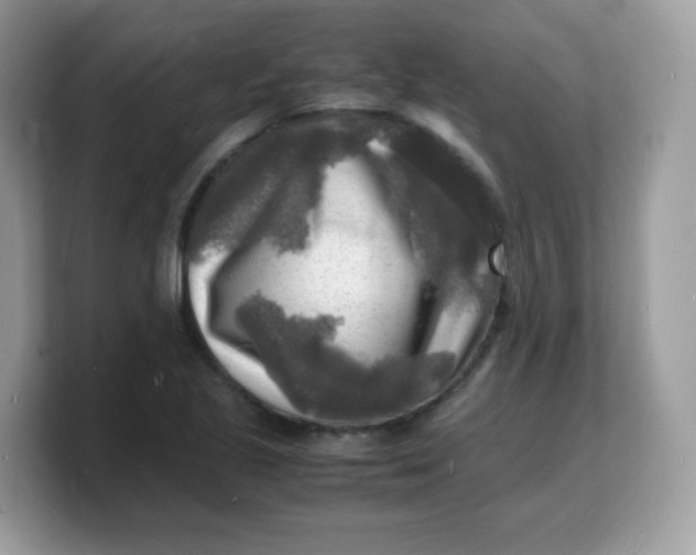 X0000103251221200809181557