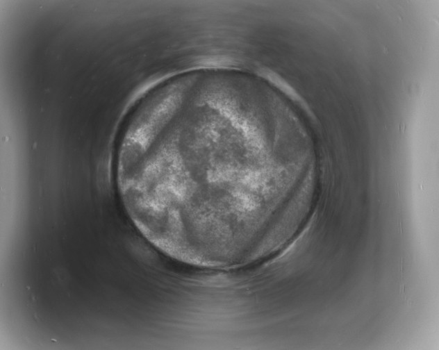 X0000103251222200809181557