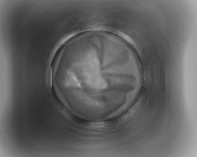 X0000103251223200809181557