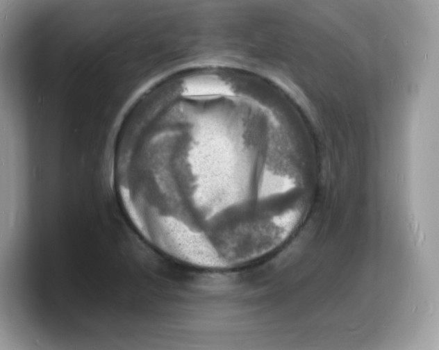 X0000103251224200809181557