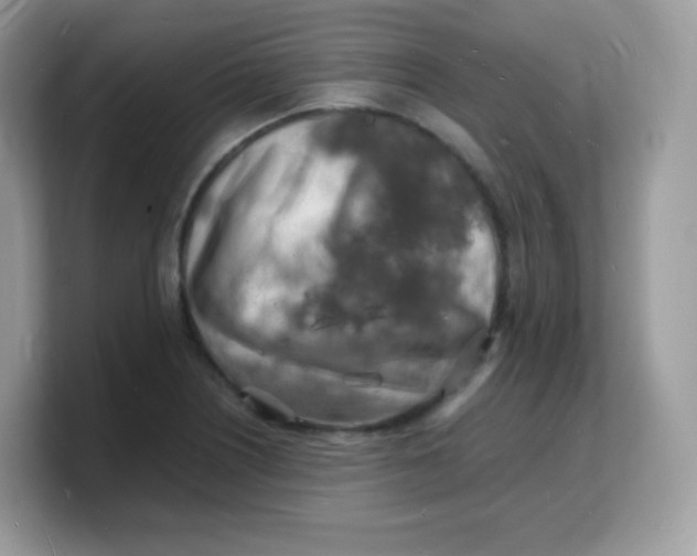 X0000103251226200809181557