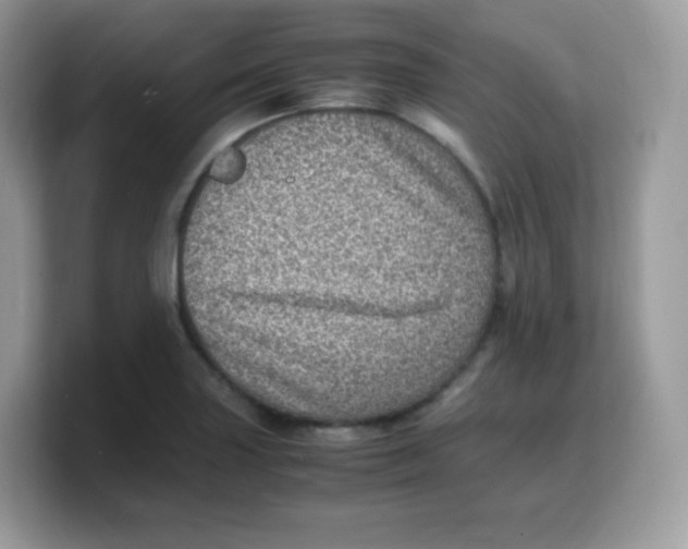 X0000103251227200809181557