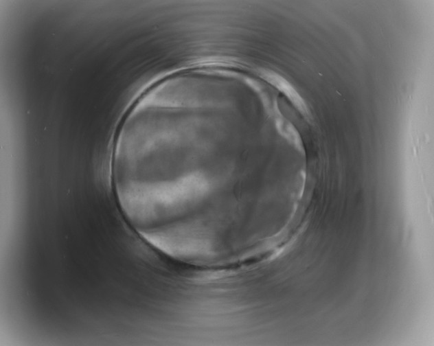 X0000103251228200809181557