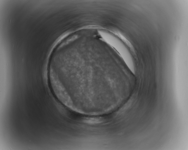 X0000103251229200809181557