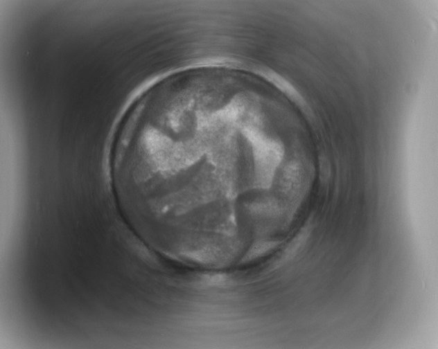 X0000103251230200809181557