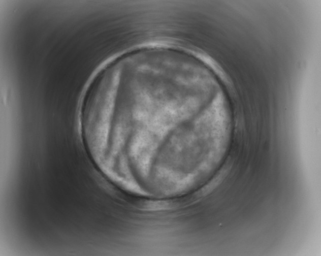 X0000103251232200809181557
