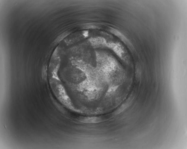 X0000103251233200809181557