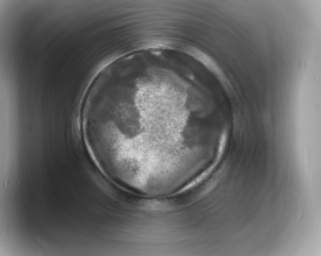 X0000103251234200809181557