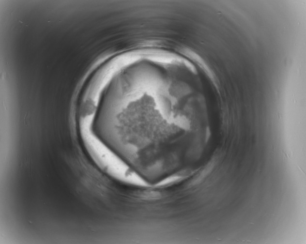 X0000103251235200809181557