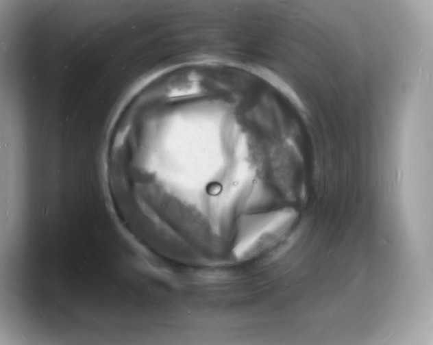 X0000103251239200809181558