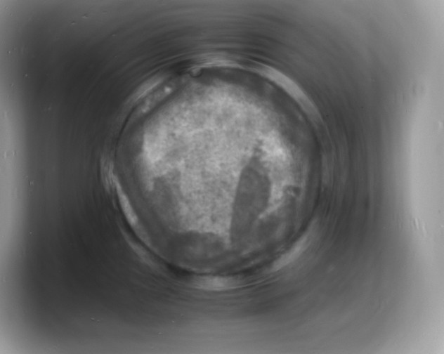 X0000103251241200809181558