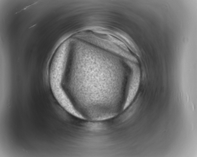 X0000103251242200809181558