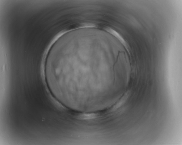 X0000103251243200809181558