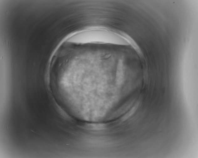 X0000103251244200809181558