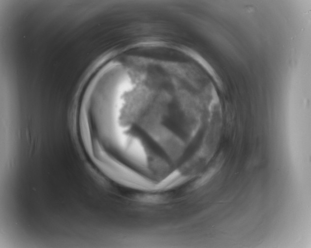 X0000103251245200809181558