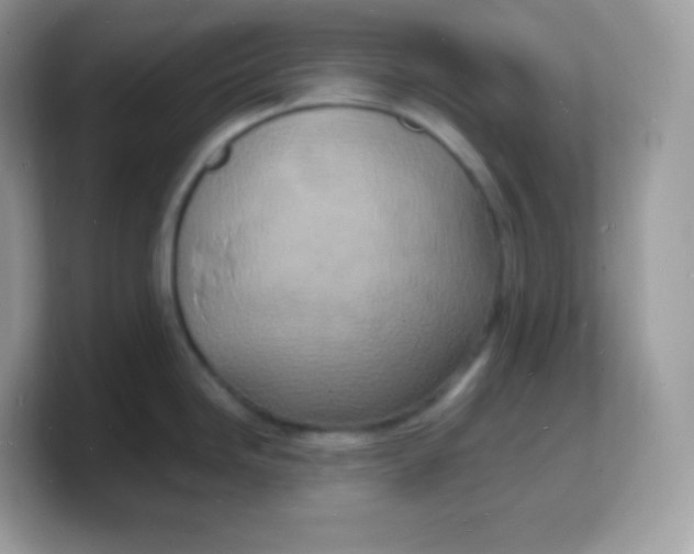 X0000103251246200809181558