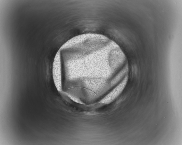 X0000103251250200809181557