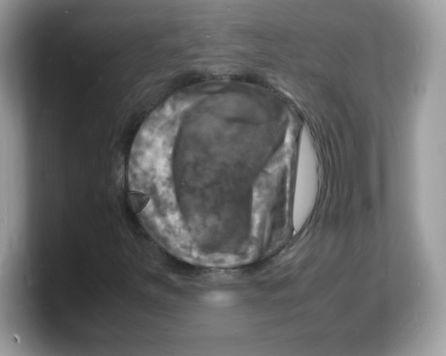 X0000103251251200809181557