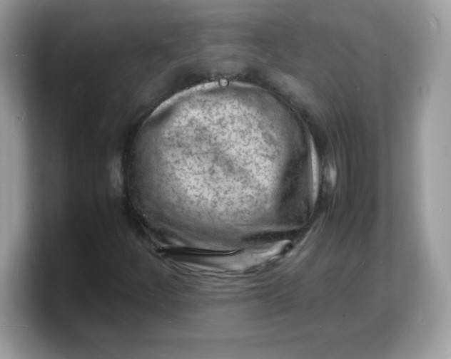 X0000103251252200809181557