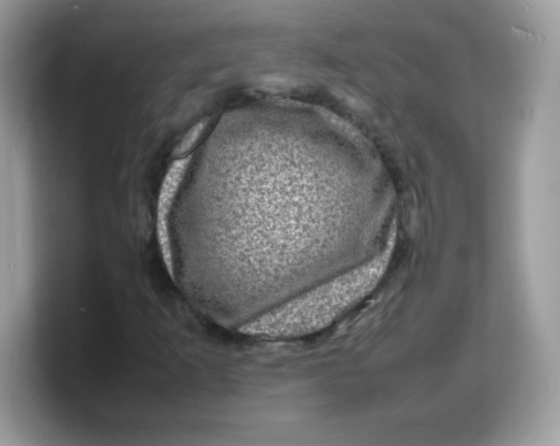 X0000103251253200809181557