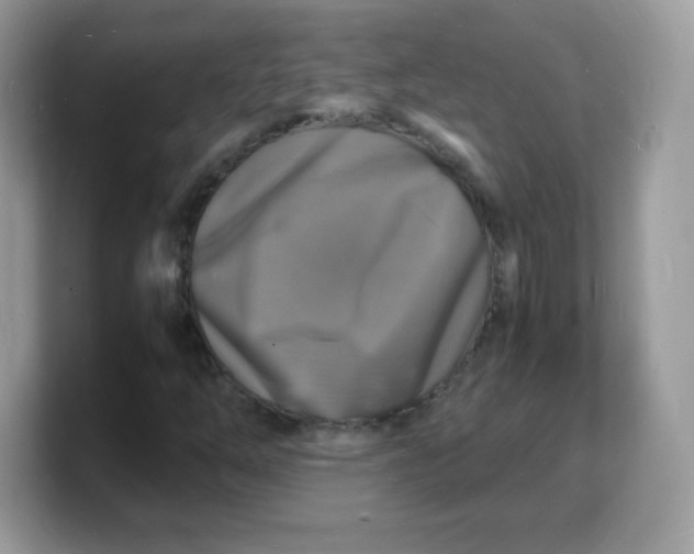 X0000103251254200809181557
