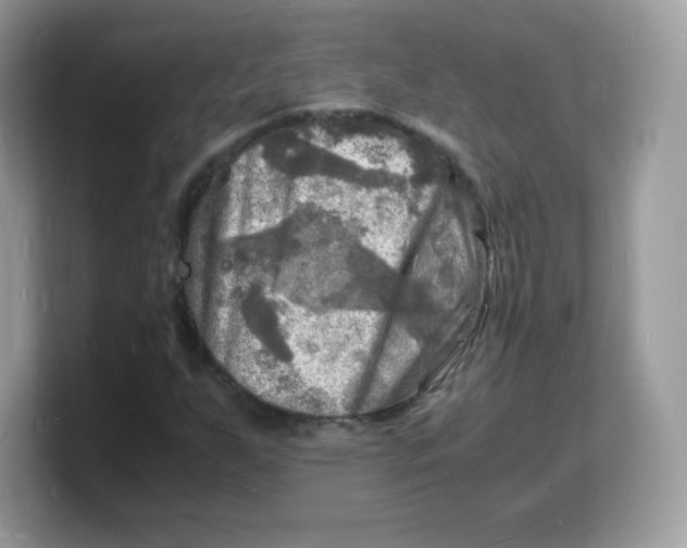 X0000103251255200809181557