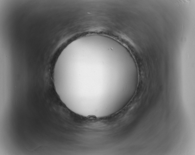 X0000103251256200809181557