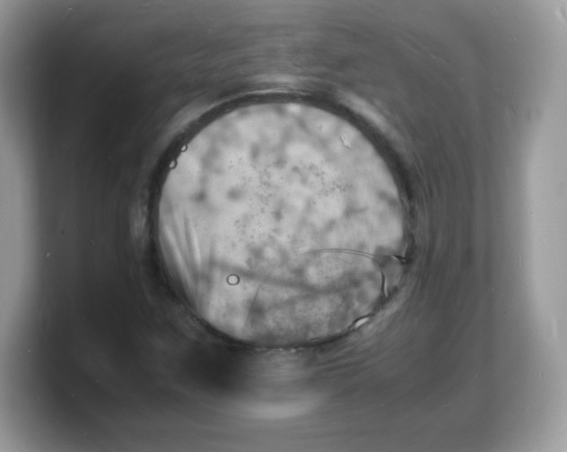 X0000103251259200809181557