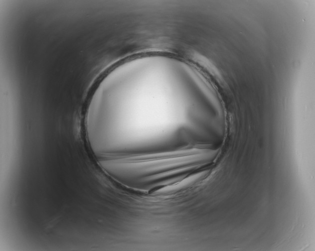 X0000103251260200809181557