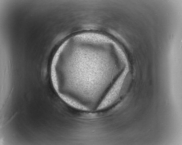 X0000103251261200809181557