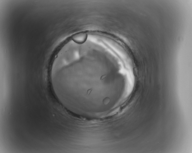 X0000103251263200809181557