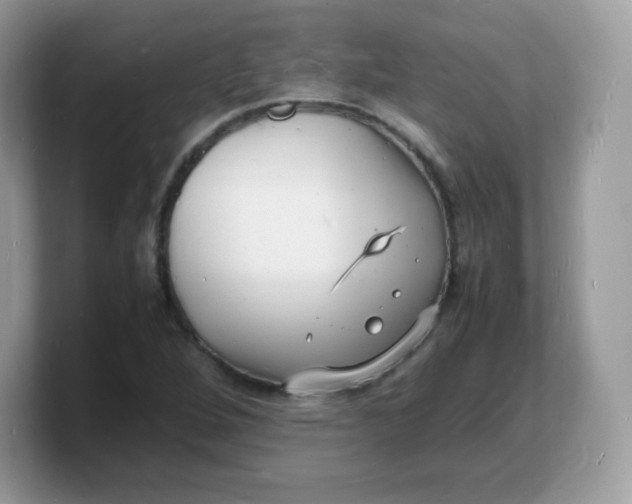 X0000103251264200809181557