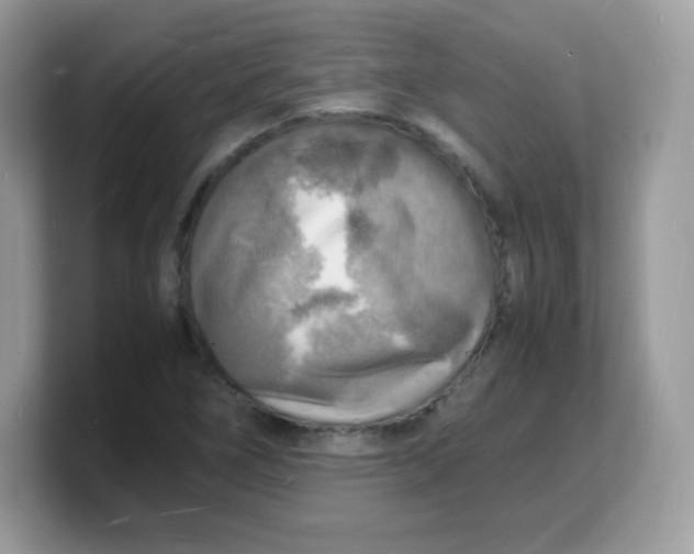 X0000103251266200809181557