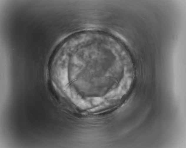 X0000103251267200809181557
