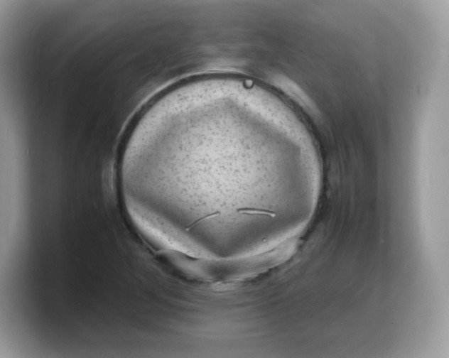 X0000103251268200809181557
