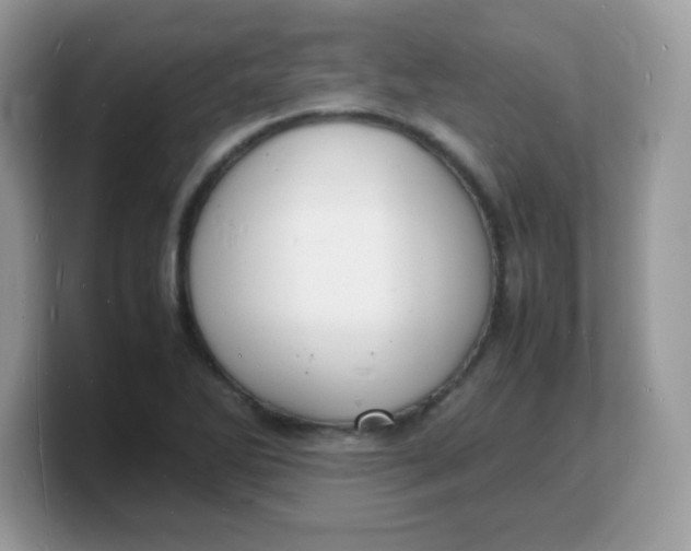 X0000103251270200809181557