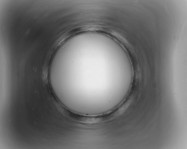 X0000103251273200809181557